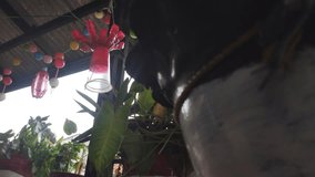make simple lanterns from used drinking bottles, to welcome Chinese New Year, then paint the bottles red and hang them in front of the house - Powered by Shutterstock - Get 15% off with code: PIKWIZARD15