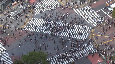 Aerial view of Shibuya pedestrian crossing by day, Tokyo, Japan