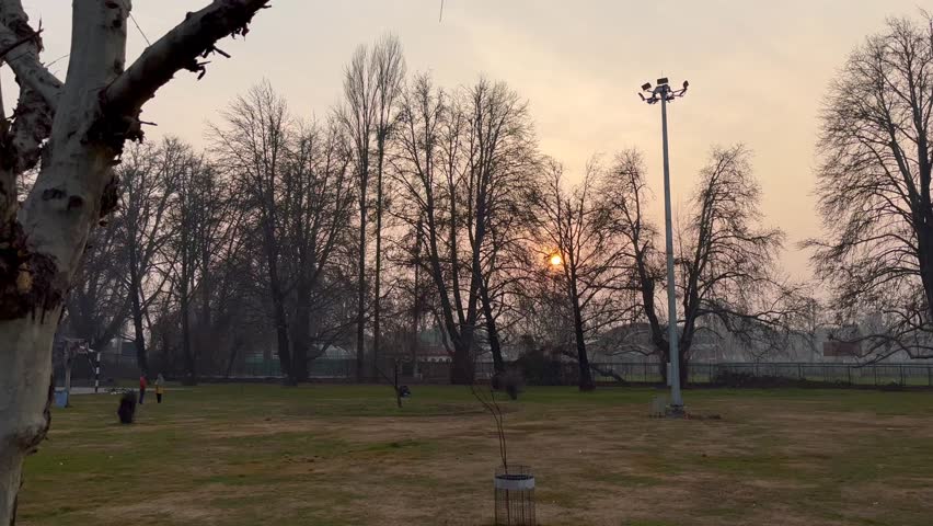 JK Winters playgrounds: Crisp dry trees whisper in autumn