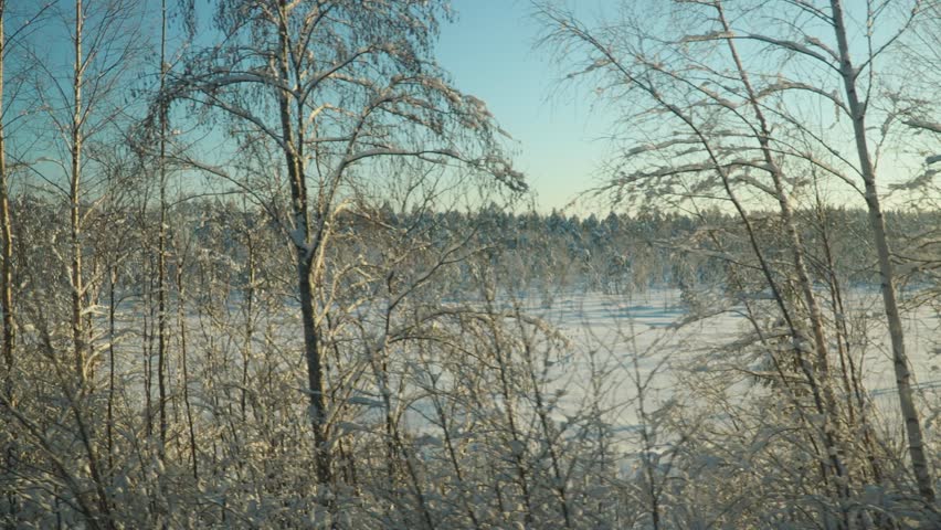 Winter train journey into a snowy fairy tale. View from the window of a moving vehicle onto a snow-covered taiga forest. White snowdrifts, spruce and pine trees under snow cover. Nature of Karelia. Royalty-Free Stock Footage #3425971063