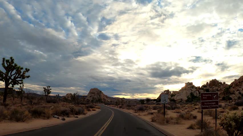 4K POV point of view vehicle scenic driving through a Rocky Mountain scenic curvy road with Joshua trees passing by (part 4). Car travel to the Joshua Tree National Park, California, USA