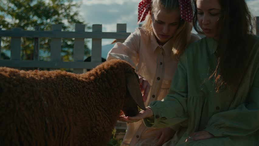 Two young women feeding sheep outdoors in a sunny day