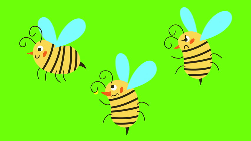 Set of cute cartoon honey bees. Hand-drawn vector 2d graphic. Green and white backgrounds. 4K animated video.