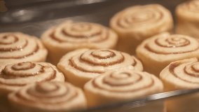 Timelapse of baking cinnamon rolls in the oven until golden brown. Making homemade Cinnabons. Baking raw pastry dough with sugar and cinnamon in the oven until fully cooked. Freshly baked buns. - Powered by Shutterstock - Get 15% off with code: PIKWIZARD15