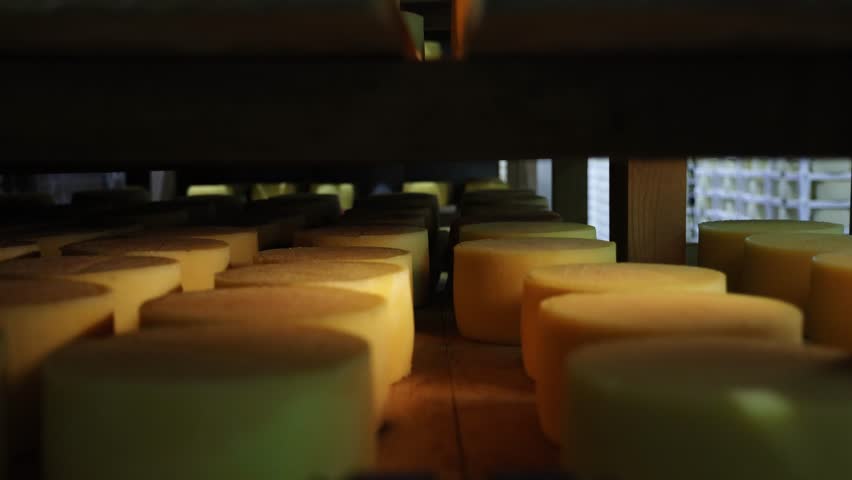 Large cheese aging chamber. a room where cheese is left to mature and develop its full flavour by aging