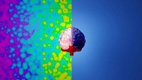 Human Brain with Two Different Parts Animation. Creativity and Logic, Metaphor and Neuro Psychology Concept. - Powered by Shutterstock - Get 15% off with code: PIKWIZARD15