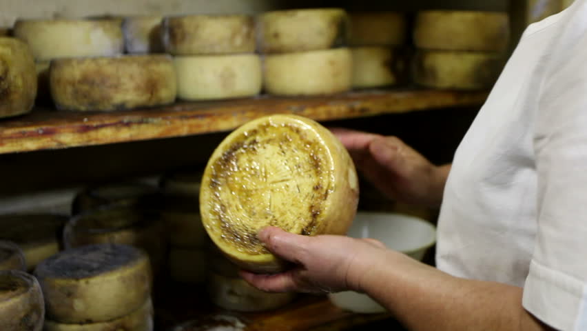 A woman dressed in white oils a whole cheese, then she replaces it on a shelf, near other whole cheese, into a wooden cupboard.