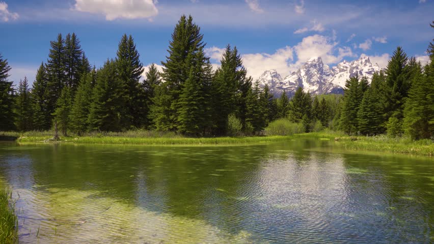 Pan right at Schwabacher Landing with Snake River in Grand Teton National Park. 4K UHD video.
