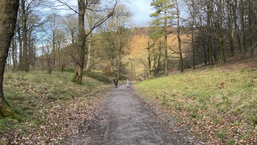 Country woodland pathway with fallen leaves. Winter rural scene. Tourist trail with people hiking and walking dogs