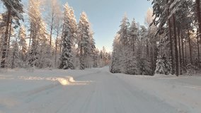 Thrilling POV winter drive in scenic snow covered forest environment Finland - Powered by Shutterstock - Get 15% off with code: PIKWIZARD15