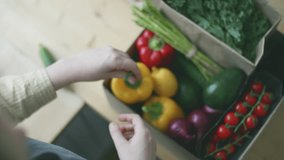 top view video of woman unboxing box with fresh ripe vegetables, grocery delivery, local farm produce. grocery delivery, fresh harvested vegetables