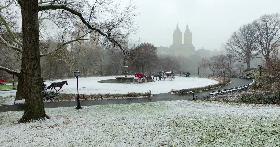 Beautiful Ultra HD cinematic video of Central Park in New York covered in snow. People taking a romantic tour with a horse and carriage moving through the snow while enjoying the panoramic lansdscape.