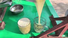 Man make eco sugarcane juice. Rural guy produce sweet rum drink. Street vendor chop up raw cane fiber. Local maker sell asap. Grinder mill crush sugarcanes fibre. Slow motion Video. Hand work. 4K