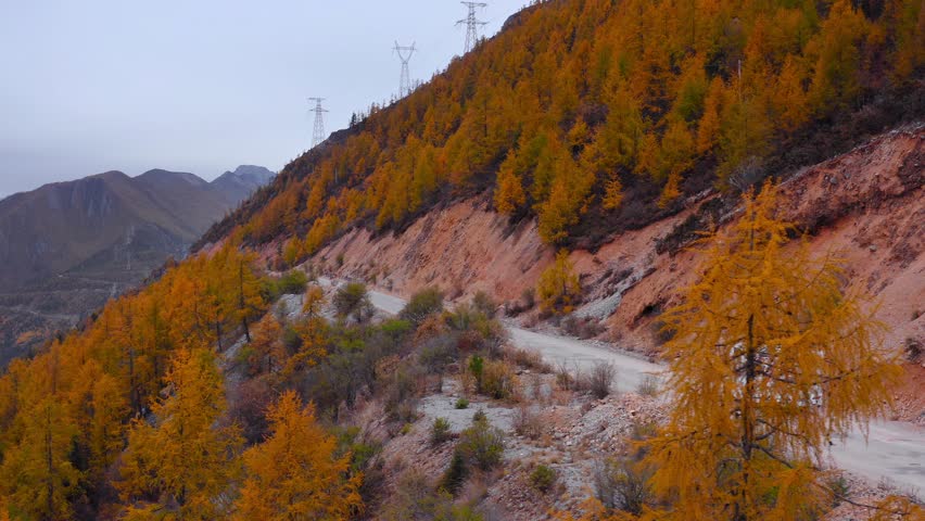 Motorhome driving on a mountainside road with autumn-colored trees. Aerial