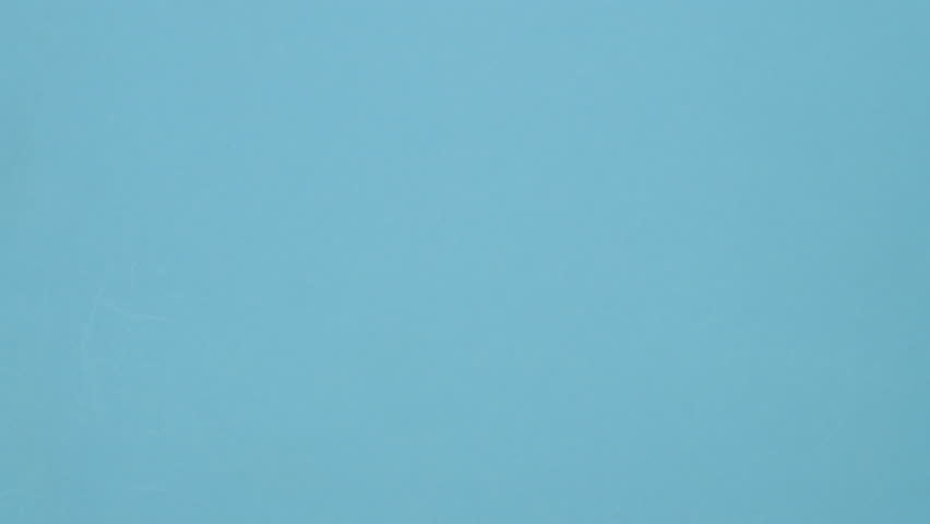 Leather wallet eats all money. Blue paper background. Top view. Finance concept. 4K Stop motion animation.	
