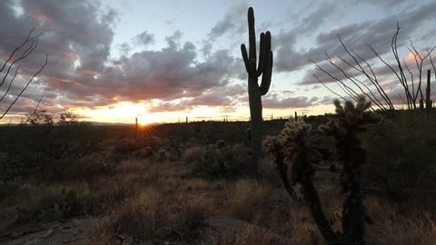 Time lapse video showing colorful clouds after sunset and silhouetted saguaro cactus in Saguaro National Park, Tucson Arizona.