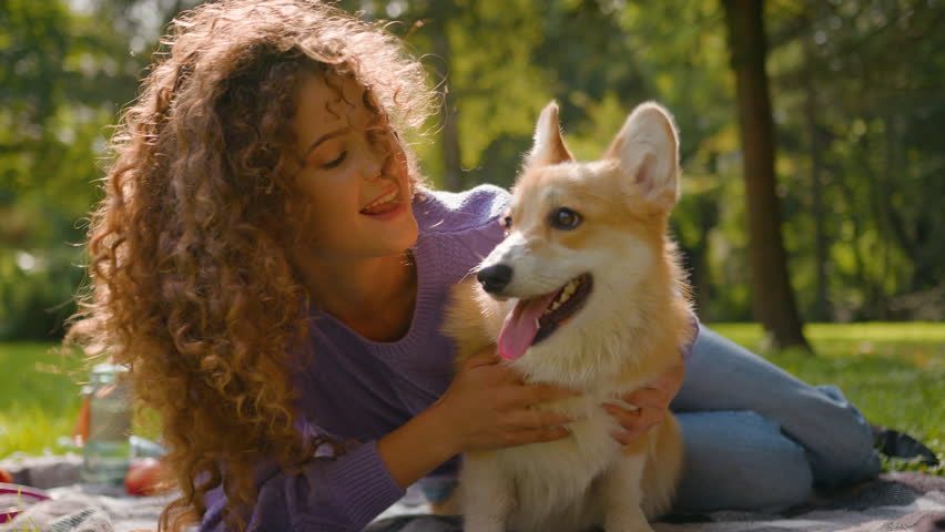 Caucasian happy girl playing with golden puppy on grass nature summer weekend female woman pet trainer love friend domestic animal outdoors in city park hugging cute little dog pembroke welsh corgi Royalty-Free Stock Footage #3427433889