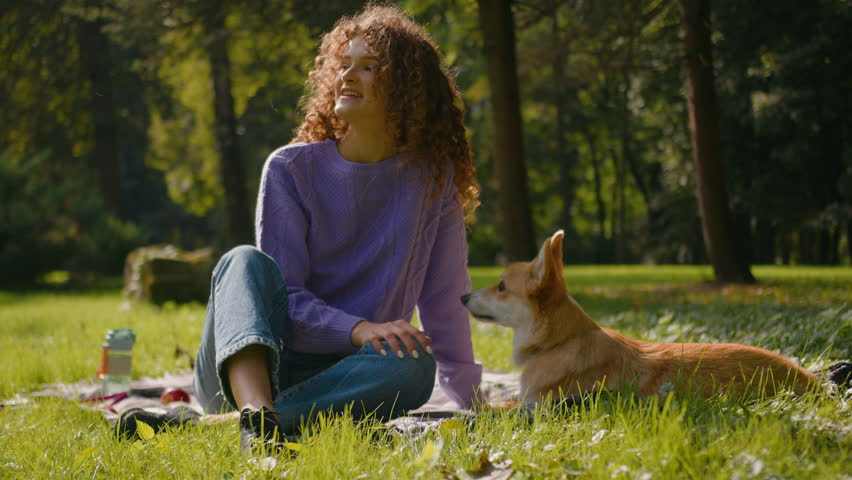 Caucasian young woman girl playing with cute little friend dog welsh corgi on grass outdoors female handler pet owner stroking puppy relaxing in city park nature human and domestic animal friendship Royalty-Free Stock Footage #3427434373