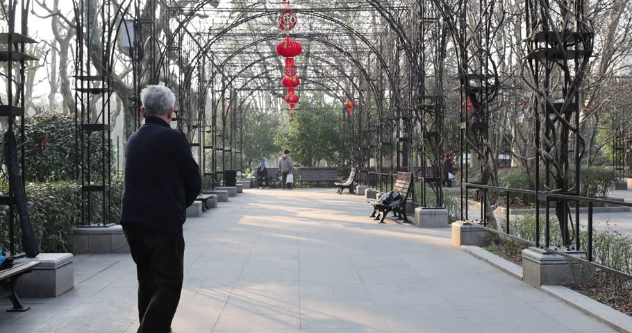 Chinese Grandpa Practicing Tai Chi in Shanghai Park in the Morning 