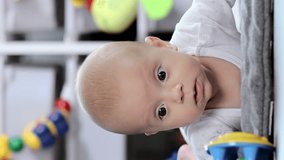 Baby lies on his stomach and looks at the toy, vertical video.