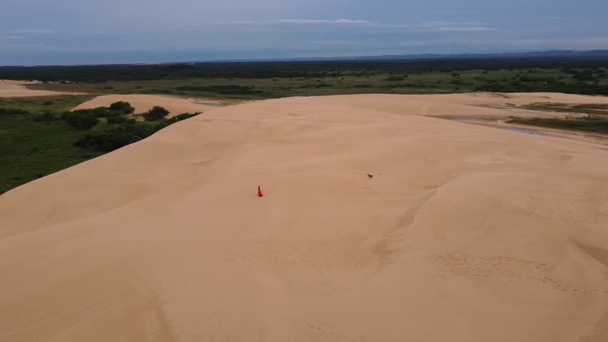 High aerial orbits woman and dog on huge sand dune in central Bolivia