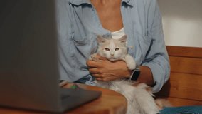Young smiling woman in cafe with cute small cat sitting at table with laptop, female freelancer online work concept, attractive girl freelancer working in cafe with cat helper.