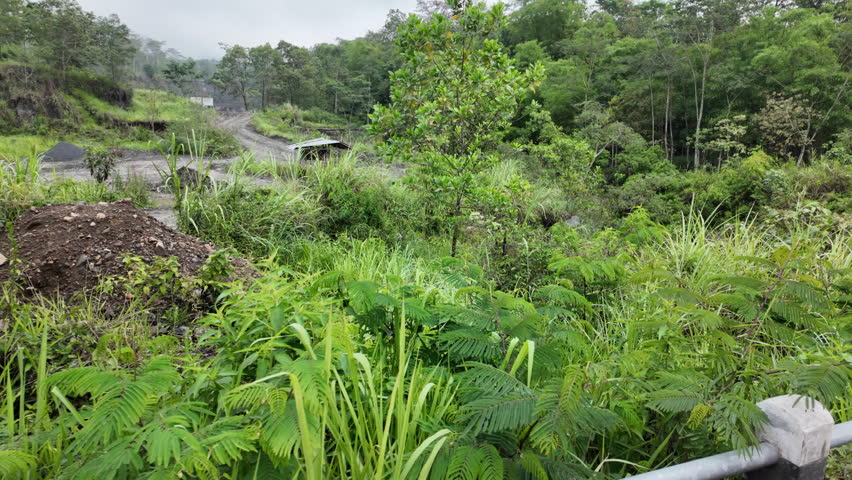 Tropical forest landscape with lush vegetation and a small rural path leading to a wooden shelter under a cloudy sky, evoking a sense of remoteness and wild natural beaut in Merapi Yogyakarta