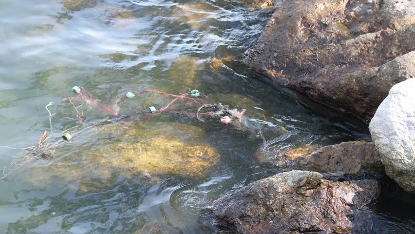 Old fishing net tangled among coastal rocks. Royalty-Free Stock Footage #3428350081
