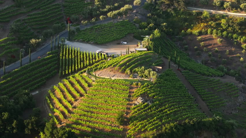 Drone shot of countryside landscape with private vineyards in Santa Monica mountains, Los Angeles suburban, California, USA. Green plantations in summer before harvesting. Winery production in region