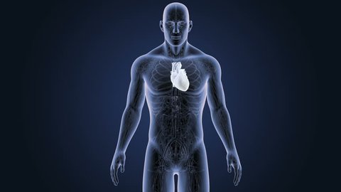 Skeleton And Moving Chest X Ray Stock Footage Video 100 Royalty Free Shutterstock