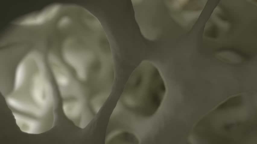 Realistic 3D animation of a camera moving over well-lit spongy bone tissue, resembling imagery from an electron microscope.