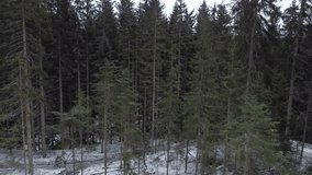 Breathtaking aerial views of a serene snowy forest, captured with a drone. Majestic trees, pristine landscapes, and winter wonder unfold. - Powered by Shutterstock - Get 15% off with code: PIKWIZARD15