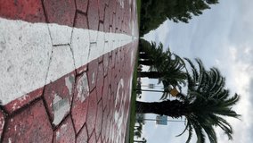 Front view. White road markings, pedestrian crossing, bike sign, palm tree. 4K vertical video. Camera moves along red bicycle path on waterfront of Batumi. Concept of tourism, travel, holiday, walking