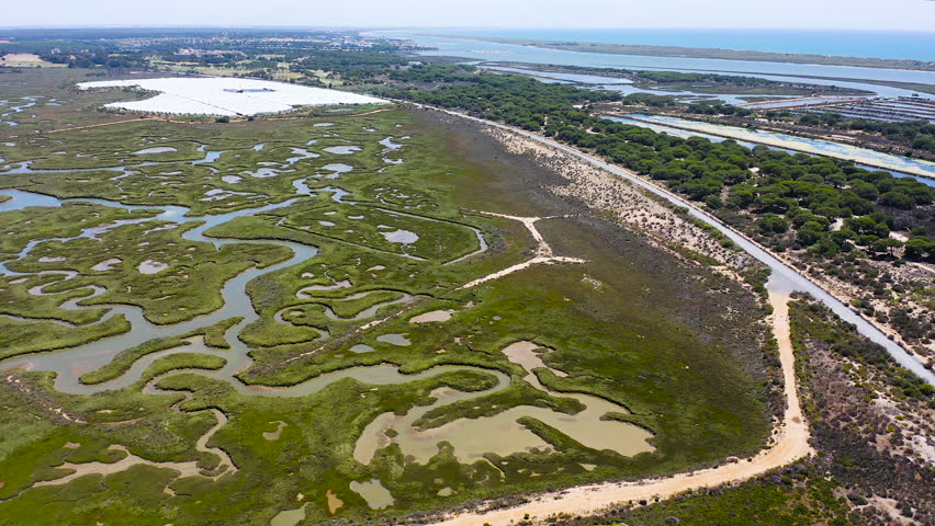 Aerial view over the marshlands of river Carreras and coastline close the village of Isla Canela, in the Atlantic coast of Huelva, Andalusia, Spain. Royalty-Free Stock Footage #3429152809