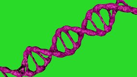 Pink DNA molecules animation on a green background. . Biotechnology, biochemistry, genetics and medicine concept. DNA chain. 3D animation. - Powered by Shutterstock - Get 15% off with code: PIKWIZARD15