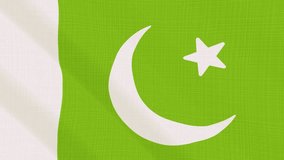 Pakistan flag waving in the wind. Background with rough textile texture. Animation loop. Element for web site, presentation, import into video.