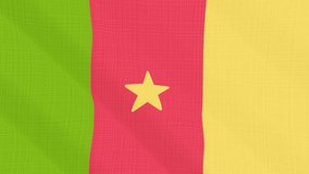 Cameroon flag waving in the wind. Background with rough textile texture. Animation loop. Element for web site, presentation, import into video.