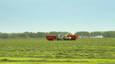 A tractor is harvesting freshly mowed grass