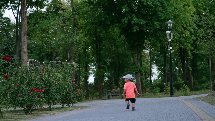 Rear view of a boy walking by the alley in the park. Little kid outdoors in summer.