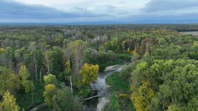 Autumn river delta floodplain fall color meander drone aerial inland video shot in sandy sand alluvium, benches forest and lowlands wetland swamp, quadcopter view flying fly flight show