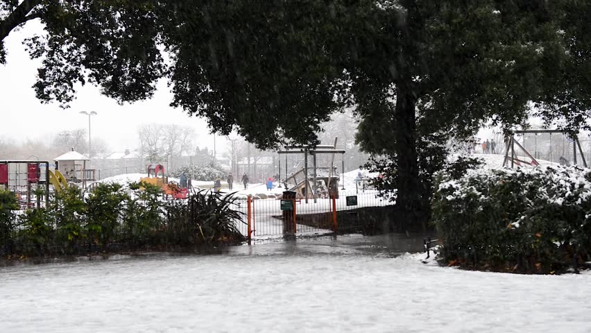 snowfall in a park  