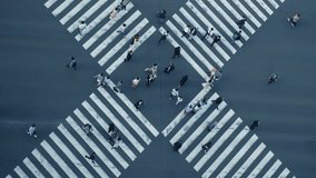 Aerial view of pedestrians walk crossing road intersection junction in downtown. Tokyo, Japan. - Powered by Shutterstock - Get 15% off with code: PIKWIZARD15