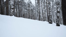 Snowy winter slope and birch tree forest. Media. Beautiful winter landscape, calm quit day in woods. - Powered by Shutterstock - Get 15% off with code: PIKWIZARD15