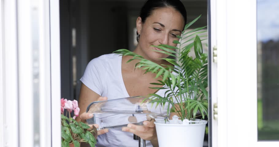 Woman standing at window watering indoor plants