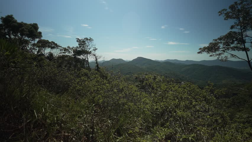 Panoramic view of the oceanic region of Niterói from the Parque da Cidade protected area, surrounded by the flora of the Atlantic Forest biome.