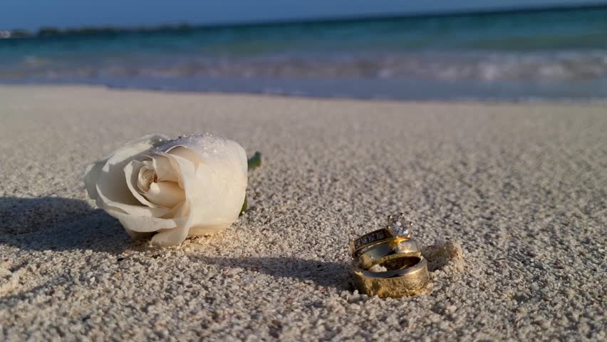 Close up white rose flower and wedding ring on sand beach, wedding beach concept
