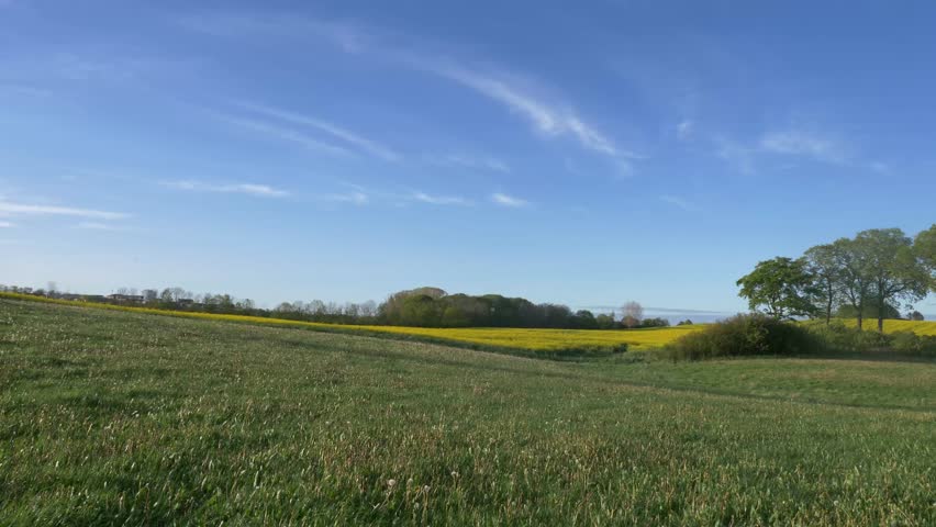 Panorama over grassland and rape field. Royalty-Free Stock Footage #3430296783