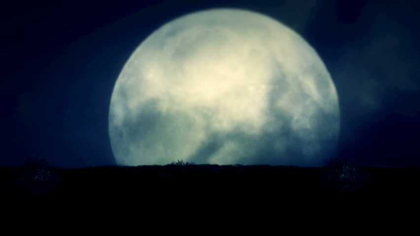 Four Wolves Running at Night on a Full Moon Background
