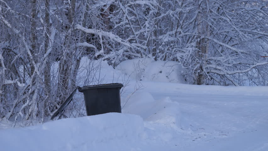Man in a snowy environment throws the Christmas tree into the rubbish.