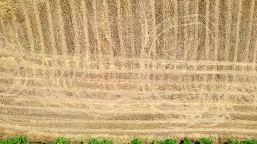 Tractor marks and harvested agriculture field, aerial top down view